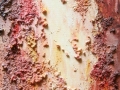 la-femme-du-feu_acryl_mischtechnik_30x70