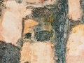 rindenimpressioni_acryl_mischtechnik_60x80